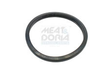 Tesnenie termostatu MEAT & DORIA 016100