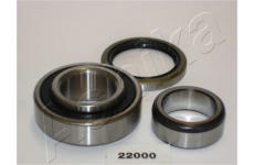 Sada ložisek kol ASHIKA 44-22000