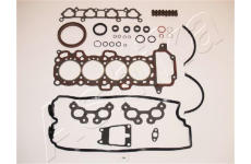 Kompletní sada těsnění, motor ASHIKA 49-01-195