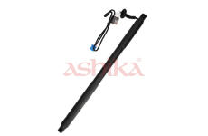 Elektromotor, zadní dveře ASHIKA ZA-0501R