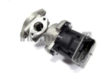 AGR-Ventil INTERMOTOR 14421