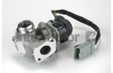 AGR-Ventil INTERMOTOR 14969