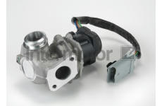 AGR-Ventil INTERMOTOR 14972