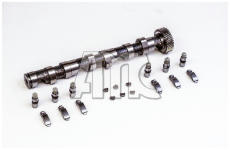 Sada vačkového hriadeľa AMC 647119K