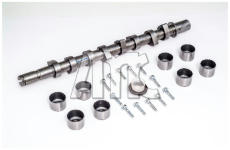 Sada vačkového hriadeľa AMC 666891K