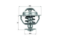 Termostat, chladivo MAHLE ORIGINAL TX 73 82D