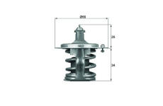 Termostat, chladivo MAHLE TX 79 78D