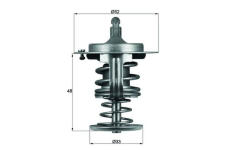 Termostat, chladivo MAHLE TX 82 80D