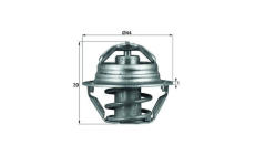 Termostat, chladivo MAHLE ORIGINAL TX 90 87D