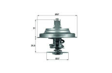 Termostat, chladivo MAHLE ORIGINAL TX 25 80D