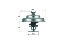 Termostat, chladivo MAHLE TX 75 80D