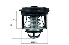 Termostat, chladivo MAHLE TI 246 50