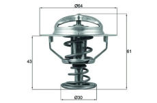 Termostat, chladivo MAHLE ORIGINAL TX 178 78D