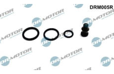 Sada na opravy, jednotka trysky čerpadla LIZARTE DRM005R