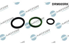 Sada na opravy, jednotka trysky čerpadla LIZARTE DRM005RK