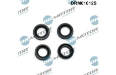 Těsnění, držák trysky LIZARTE DRM01012S