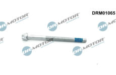 Šroub, držák vstřikovací trysky LIZARTE DRM01065