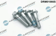Šroub, držák vstřikovací trysky LIZARTE DRM01066S