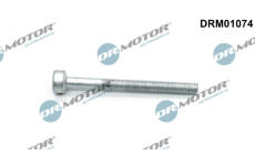 Šroub, držák vstřikovací trysky LIZARTE DRM01074