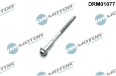 Šroub, držák vstřikovací trysky LIZARTE DRM01077