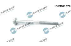 Šroub, držák vstřikovací trysky LIZARTE DRM01078