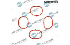 Sada těsnění, koleno sacího potrubí LIZARTE DRM0107S