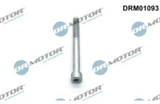 Šroub, držák vstřikovací trysky LIZARTE DRM01093