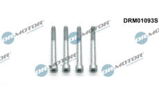 Šroub, držák vstřikovací trysky LIZARTE DRM01093S