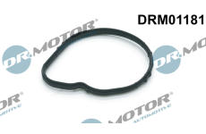 Těsnění, termostat LIZARTE DRM01181