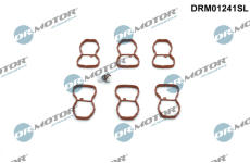 Sada na opravu, modul sacího potrubí LIZARTE DRM01241SL