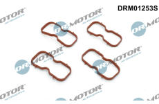 Sada těsnění, koleno sacího potrubí LIZARTE DRM01253S