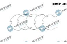 Spona LIZARTE DRM01289