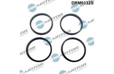 Sada těsnění, koleno sacího potrubí LIZARTE DRM0132S