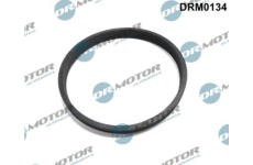 Těsnění, hrdlo škrtící klapky LIZARTE DRM0134