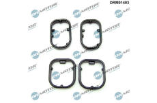 Sada těsnění, chladič oleje LIZARTE DRM01403
