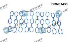 Těsnění, koleno sacího potrubí LIZARTE DRM01433