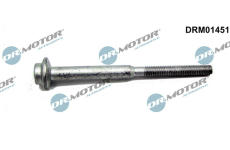 Šroub, držák vstřikovací trysky LIZARTE DRM01451