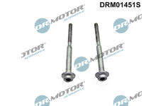 Šroub, držák vstřikovací trysky LIZARTE DRM01451S