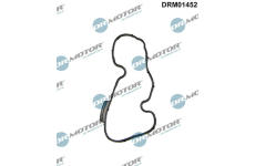 Těsnění, seřízení vačkového hřídele LIZARTE DRM01452