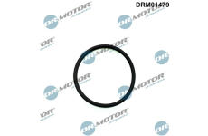 Těsnění, vstřikovací čerpadlo LIZARTE DRM01479