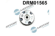 Nastavovač vačkového hřídele LIZARTE DRM01565