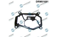 Těsnění, vakuové čerpadlo LIZARTE DRM01681