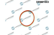 Těsnění, hrdlo škrtící klapky LIZARTE DRM01683