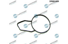 Těsnění, termostat LIZARTE DRM01689