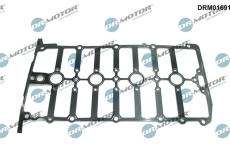 Těsnění, kryt hlavy válce LIZARTE DRM01691