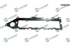 Těsnění, koleno sacího potrubí LIZARTE DRM01692