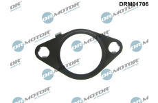 Těsnění, AGR ventil LIZARTE DRM01706