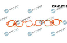 Těsnění, koleno sacího potrubí LIZARTE DRM01718