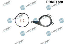 Těsnění, vakuové čerpadlo LIZARTE DRM01720