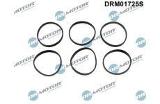 Sada těsnění, koleno sacího potrubí LIZARTE DRM01725S